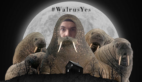 Johannes goes full walrus